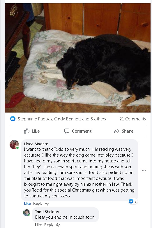 Psychic Mediumship Reading Confirm of Son & Dog Master Image