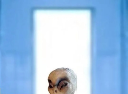 Alien In Meditation Master Image